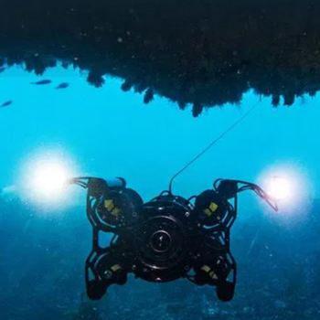 Boxfish ROV