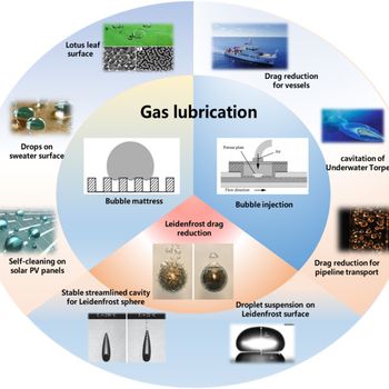 Microbubble and Gas Lubrication