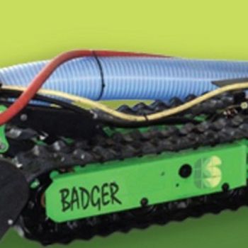 Badger