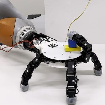 Detachable Robotic Hand
