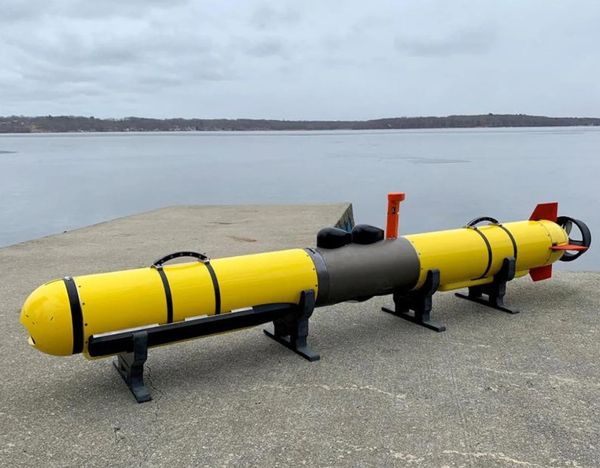 IVER4 900 UUV