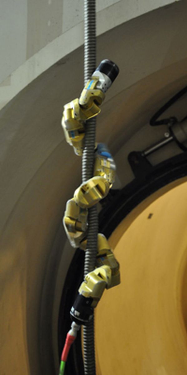 Snakebot