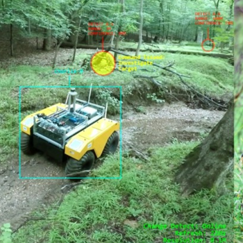 Environmental Change Detection