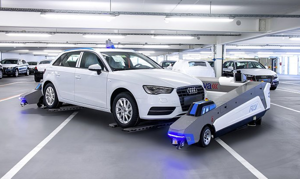 Ray autonomous parking system