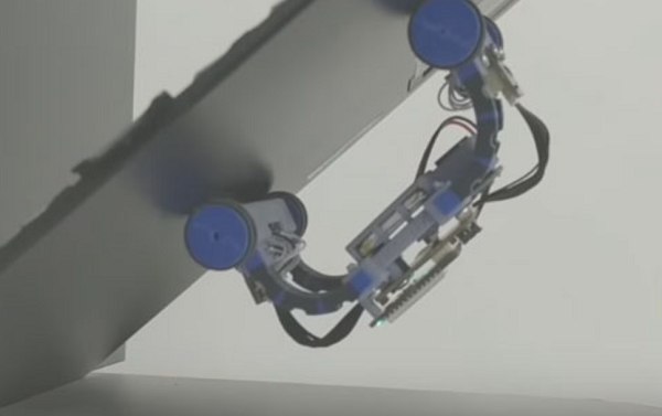 Bridge Bot