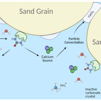 Enzyme-Induced Calcite Mineralisation (EICP)