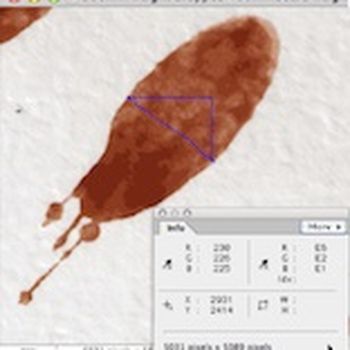 Scaling measurements from a photograph