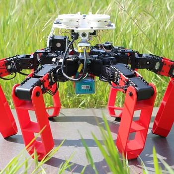 AntBot