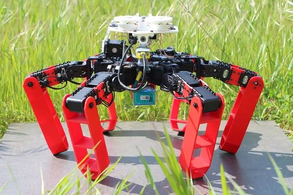 AntBot