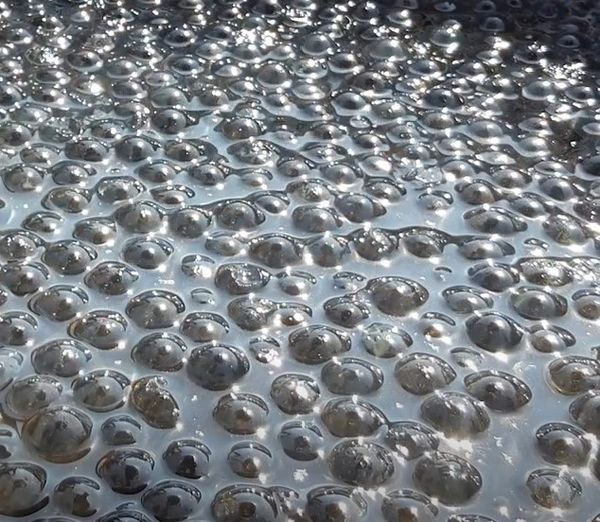 Super Absorber Melt Stabilization
