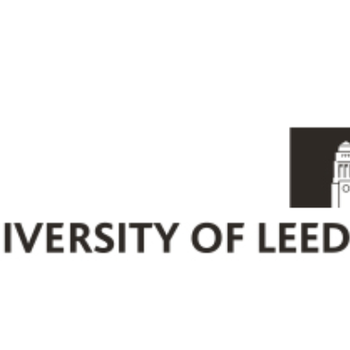 Modelling of Sludge Mobilisation and Transport