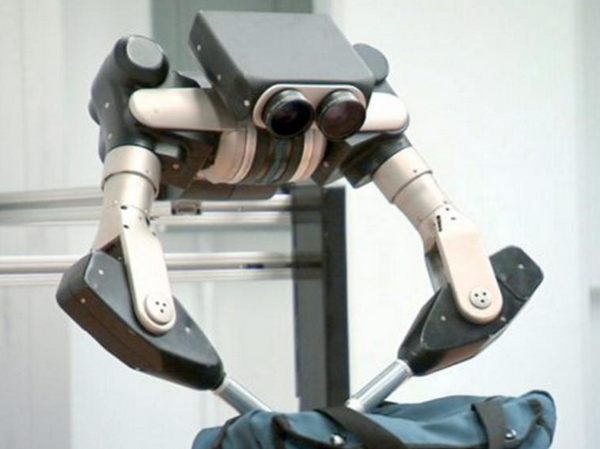 Taurus Dexterous Robot