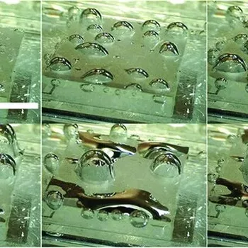 Superhydrophobic "Plastrons"