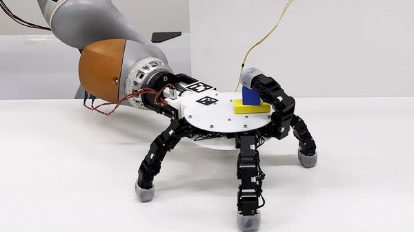 Detachable Robotic Hand