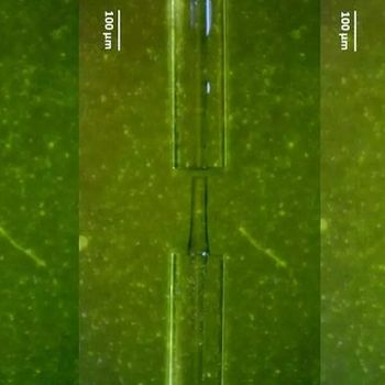 Self-repairing Stress Sensor