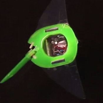 Roboray