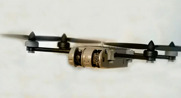 Snipe