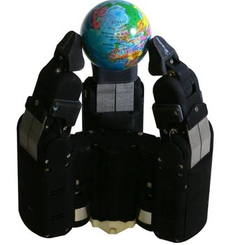 Shadow Smart Grasping System