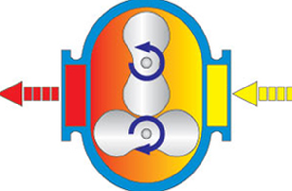 Roots type pump
