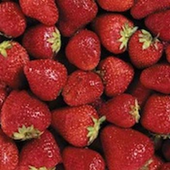 Irradiated fruit