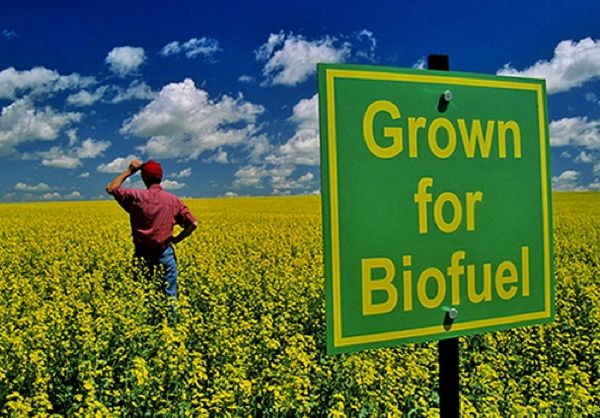 Biofuels