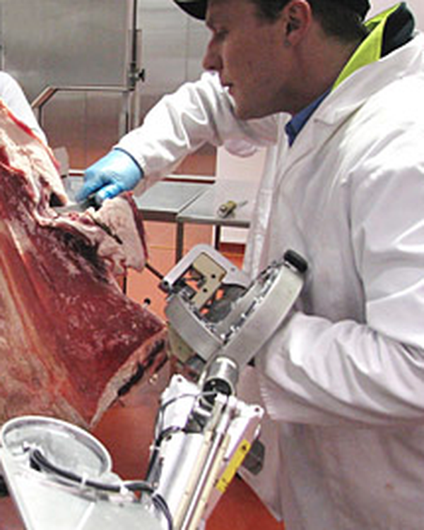 Cobotic meat hook