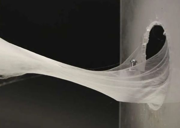 Web Spinning Robot