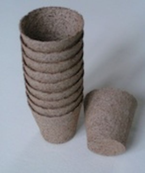 Temporary plant pots