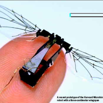 Microrobotic Fly