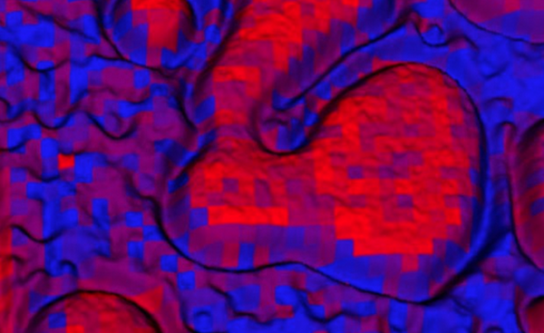 Hybrid 3-D optical microscope