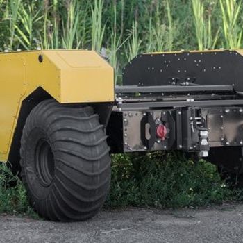 Warthog