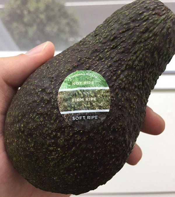 Avocado Colour Chart