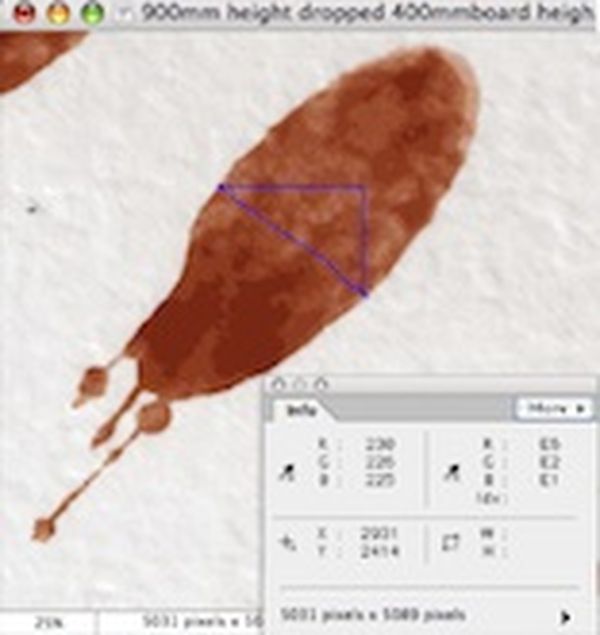 Scaling measurements from a photograph