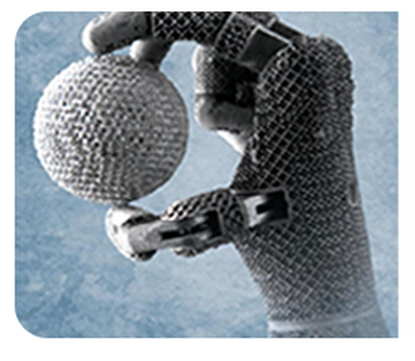 Robotic Hand