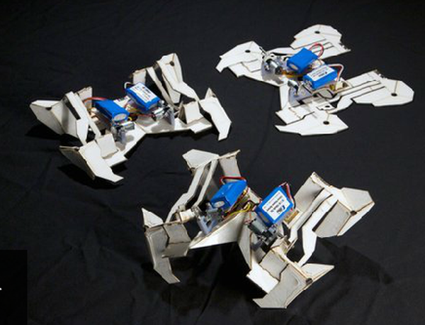 Self-Folding Robot