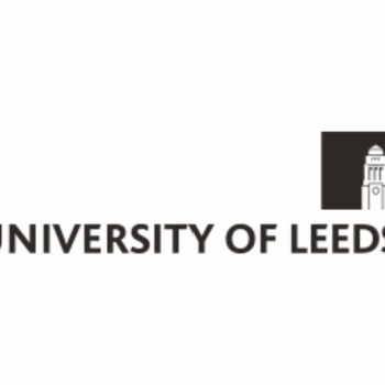 The Impact of Recycled Concrete Fines on the Engineering Performance of Cementitious Infill