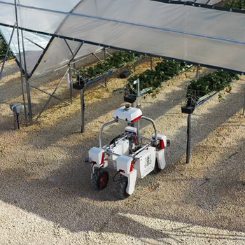Robofruit