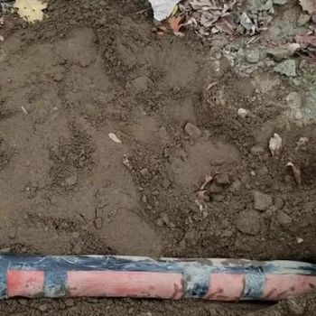 Earthworm