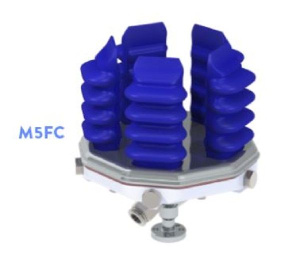 M5FC