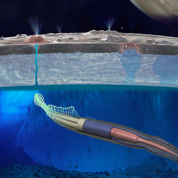 Roboeel