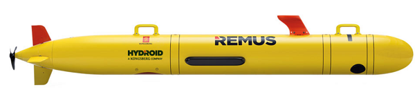 Remus 100