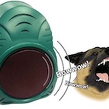 Use the sound of a barking dog for an alarm rather than use a real dog