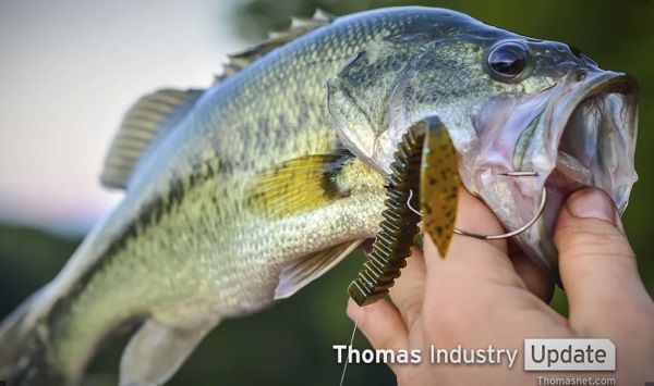 Robotic Largemouth Bass