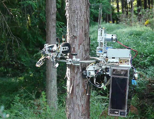 Pruning Robot