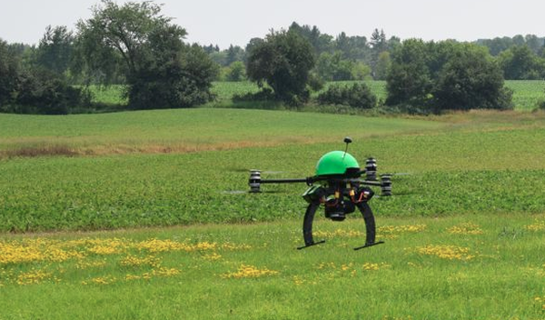 Surveyor 300