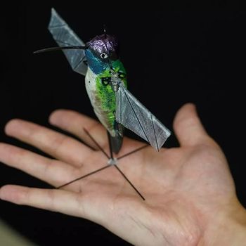 Hummingbird Robot