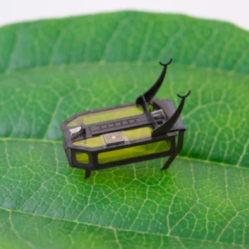RoBeetle