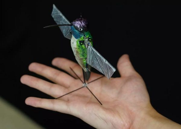Hummingbird Robot