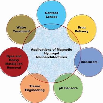 Magnetic Hydrogel