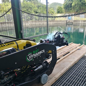 BDNZ ROV